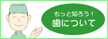 港南台の歯科医院・歯医者、くちば歯科クリニックのもっと知ろう歯について